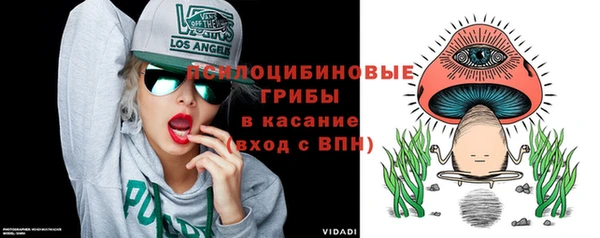 дурь Елабуга