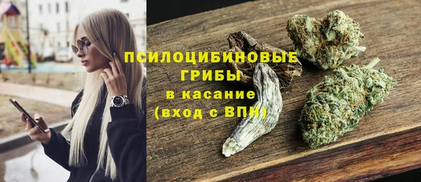 гашик Гусь-Хрустальный