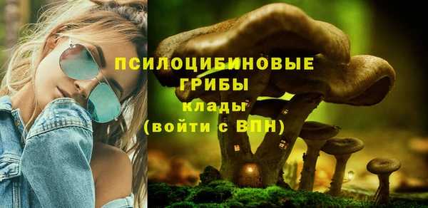 трава Дмитриев