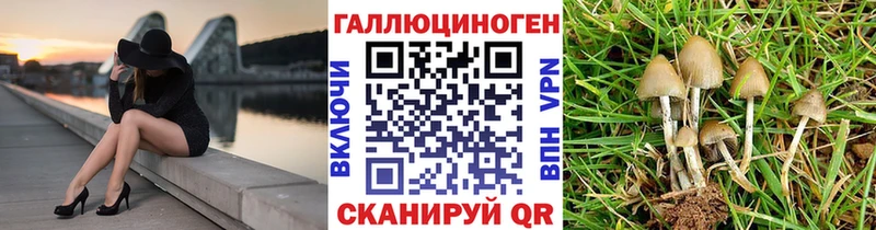 Купить закладки  Малая Вишера  Псилоцибиновые грибы Cubensis 